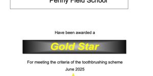 TBS Gold Certificate